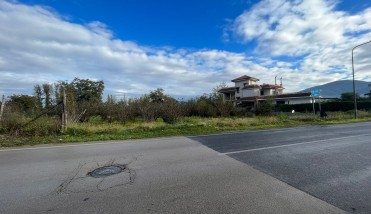 WhatsApp Image 2025-11-10 at 17.55.04 (1)