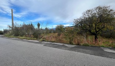 WhatsApp Image 2025-12-05 at 08.52.48