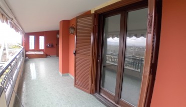 WhatsApp Image 2026-01-29 at 11.50.07 (1)