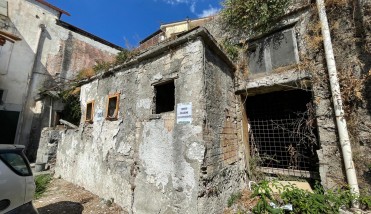 WhatsApp Image 2021-09-01 at 11.23.56 (1)