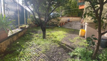 WhatsApp Image 2026-02-11 at 17.48.46