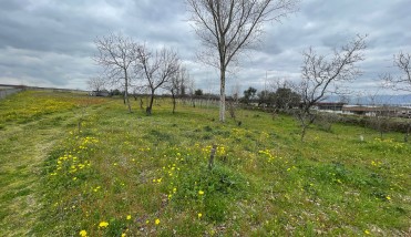 WhatsApp Image 2026-02-24 at 15.51.39 (1)