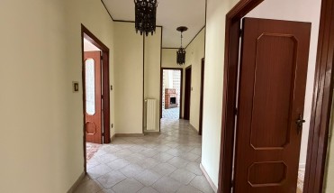 WhatsApp Image 2026-03-06 at 10.49.59