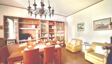 WhatsApp Image 2026-03-12 at 11.01.33 (1)